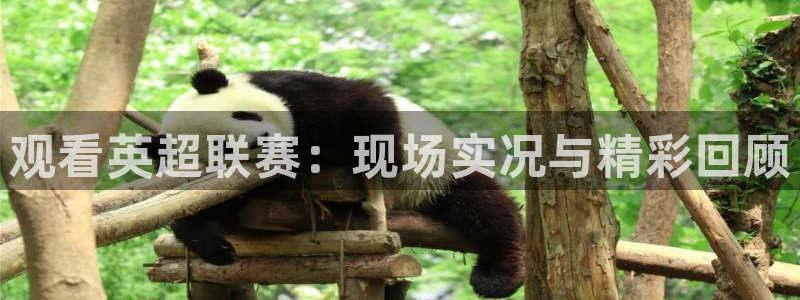 蓝鲸直播app官方：观看英超联赛：现场实况与精彩回顾