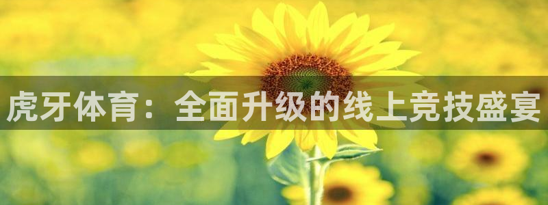 蓝鲸体育ufc直播：虎牙体育：全面升级的线上竞技盛宴