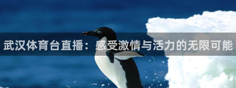 蓝鲸体育足球免费观看：武汉体育台直播：感受激情与活力的无限可能