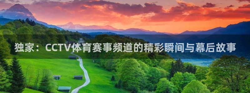 蓝鲸直播体育在线观看：独家：CCTV体育赛事频道的精彩瞬间与幕后故事