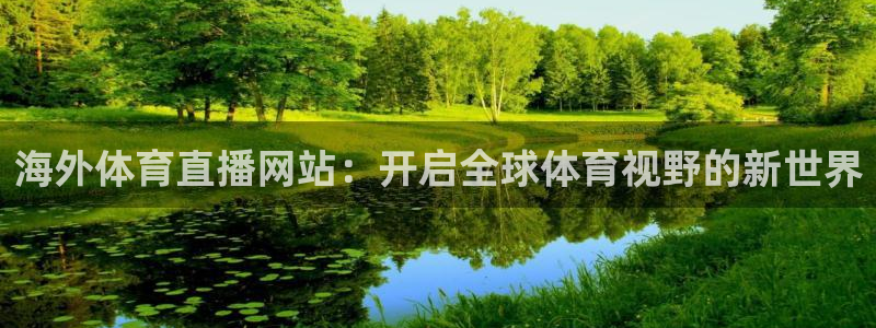 蓝鲸体育免费直播入口：海外体育直播网站：开启全球体育视野的新世界
