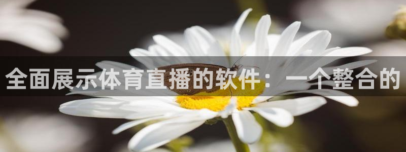 蓝鲸直播：全面展示体育直播的软件：一个整合的