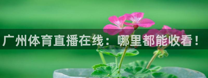 蓝鲸影视：广州体育直播在线：哪里都能收看！