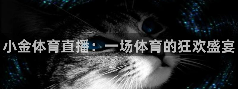 蓝鲸直播下载：小金体育直播：一场体育的狂欢盛宴